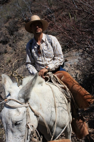  Mule rides